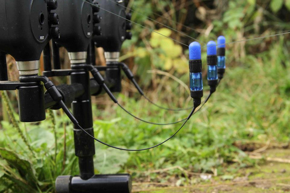 CARP Technology - 16677817602027587961992128953n.jpg